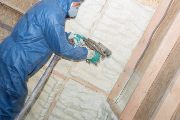 Best Crawl Space Insulation  in Wayzata, MN